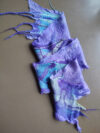 Knautia
